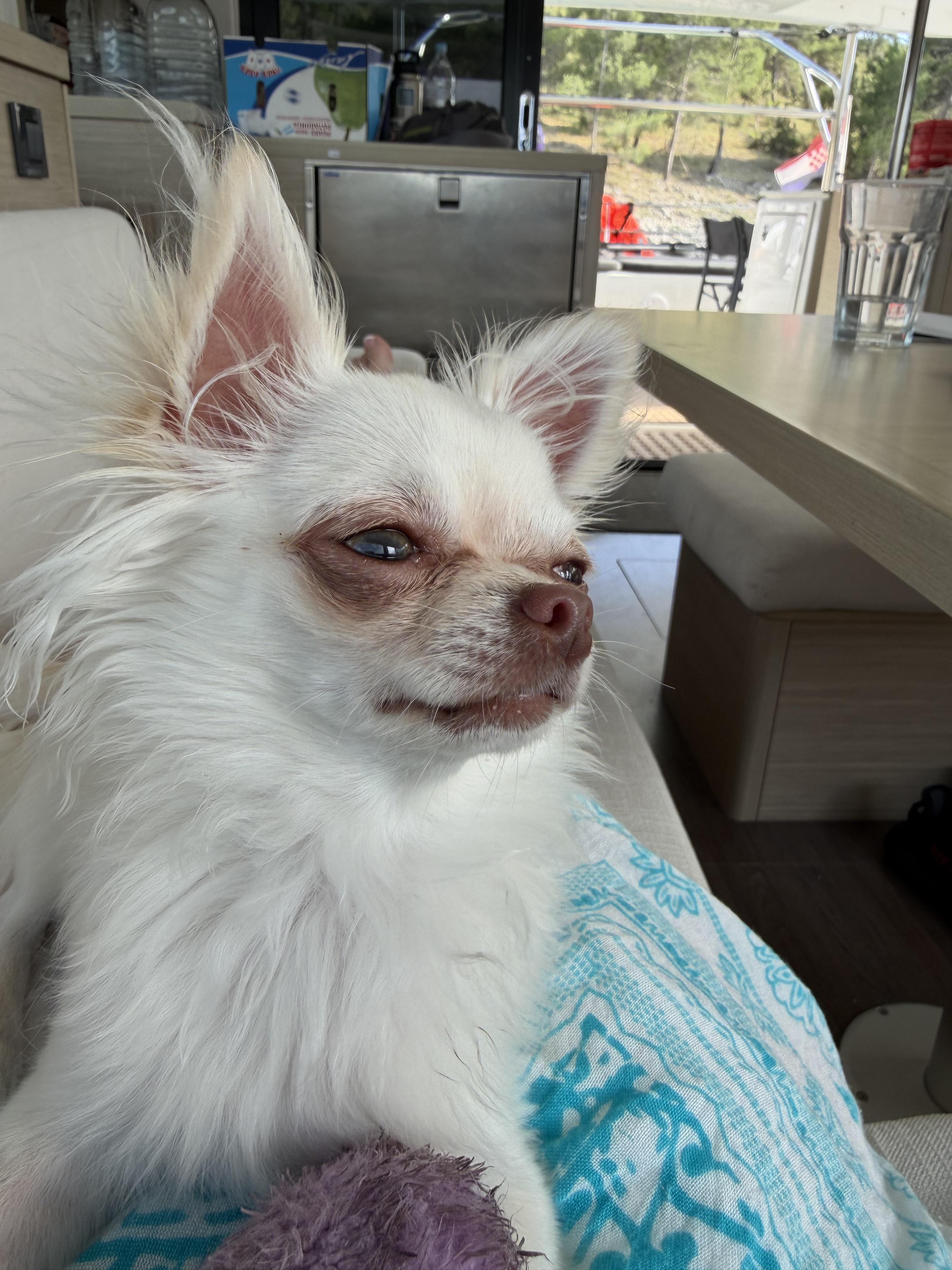 Lola + Leisure